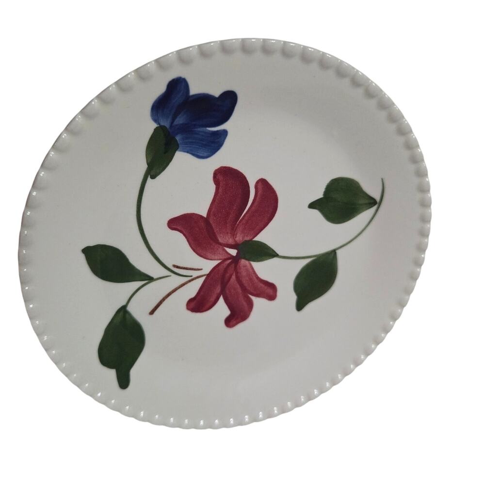 Blue Ridge Pottery Hand Painted Ware Floral Plate Cottage Core